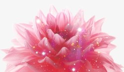 卡通植物粉色花朵星点效果素材
