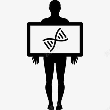 DNA图标男性轮廓显示视图的DNA结构图标图标