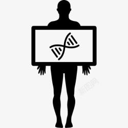 DNA图标男性轮廓显示视图的DNA结构图标高清图片