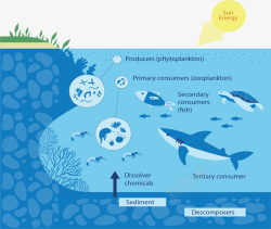 海洋水循环生态系统矢量图素材