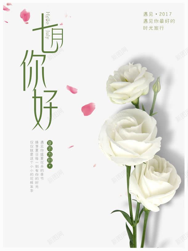 七月你好png免抠素材_88icon https://88icon.com 七月你好 文字排版 玫瑰花 白色玫瑰 花