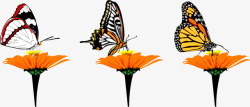 手绘花朵上的蝴蝶矢量图素材