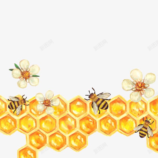 蜜蜂蜂巢png免抠素材_88icon https://88icon.com 甜蜜 蜂类 蜂蜜 鲜花 黄色