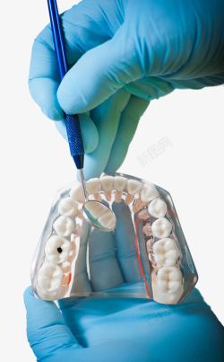 检查设备牙齿模型高清图片
