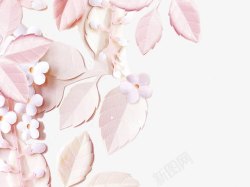 粉色浮雕花朵素材