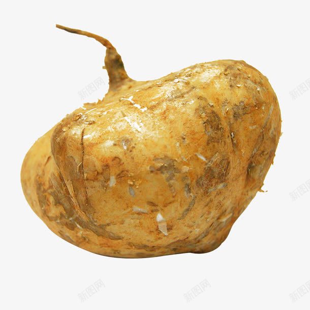 一颗凉薯png免抠素材_88icon https://88icon.com 沙葛 豆科 豆薯属 配料