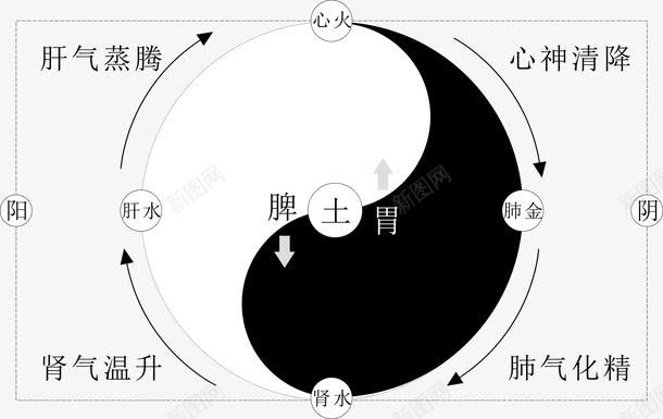 人体八卦矢量图ai免抠素材_88icon https://88icon.com 人体八卦 八卦图 太极图 形状 矢量图 矢量素材