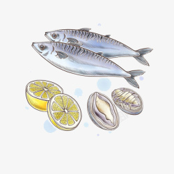 海鲜餐三文鱼与鲍鱼海鲜餐高清图片