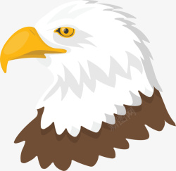 美国雄鹰美国独立日的雄鹰矢量图高清图片