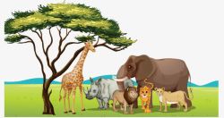 非洲犀牛非洲草原鹿犀牛大象草原景色高清图片