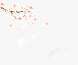 樱花珍珠奶茶素材