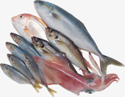 鲜鱼产品实物食物海鲜鱼高清图片
