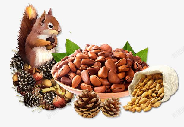 松鼠和坚果png免抠素材_88icon https://88icon.com 产品实物 坚果 巴旦木 松子 松鼠