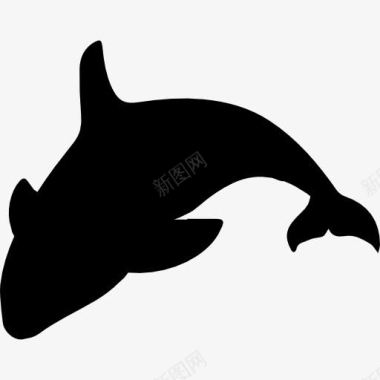 黑色设计虎鲸的剪影图标图标