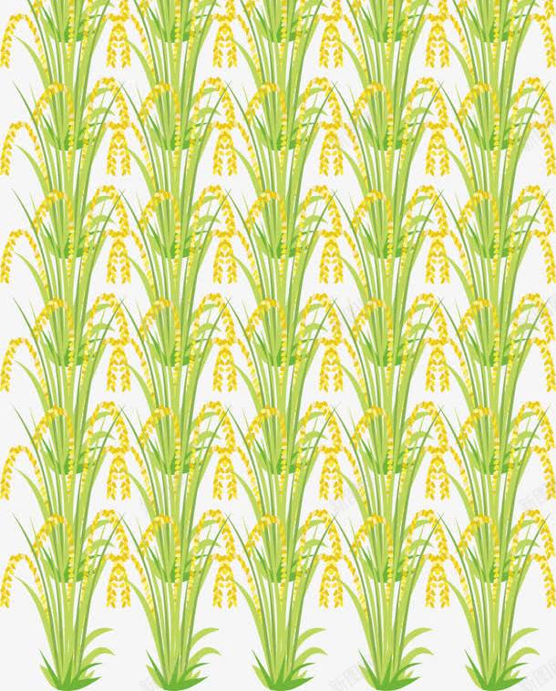 稻田里的稻谷png免抠素材_88icon https://88icon.com 农田 卡通 大米 小米穗 水稻 稻田 稻谷 米穗 麦子 麦穗