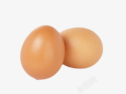褐色鸡蛋两个初生蛋实物素材