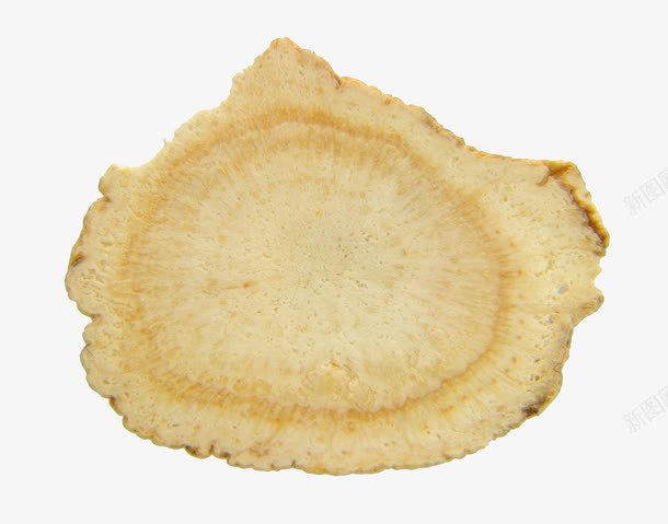 美洲人参片特写png免抠素材_88icon https://88icon.com 人参切片 人参鹿茸 健康 实物 干燥 生食 美洲人参片特写