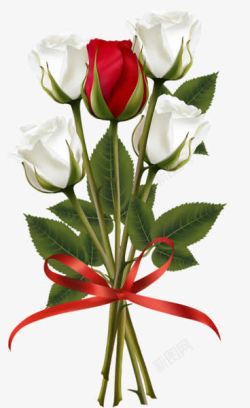 白玫瑰花束红白玫瑰一束花高清图片