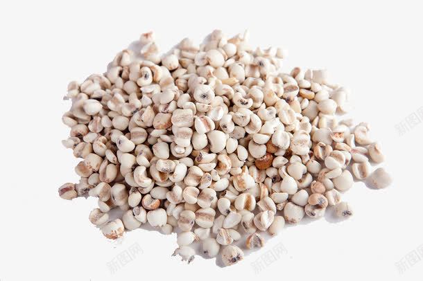 散落的薏仁png免抠素材_88icon https://88icon.com 一盘薏仁 散落的薏仁 粮油 粮食 薏仁 薏米 豆子 豆类