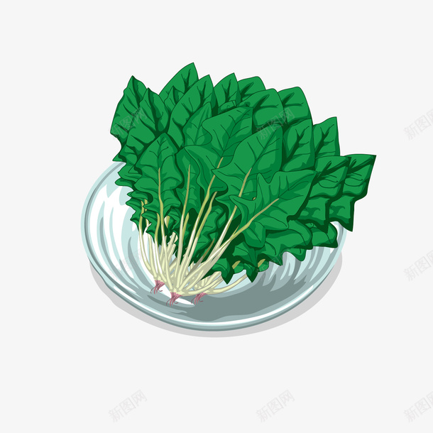 一碟新鲜的菠菜矢量图ai免抠素材_88icon https://88icon.com 根茎类蔬菜 根茎类蔬菜蔬菜设计 植物 植物设计 菠菜 蔬菜 食物 矢量图