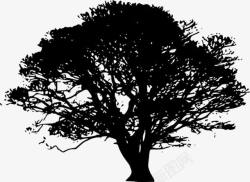 黑影树树的剪影高清图片