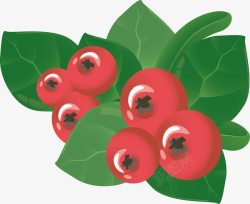 杨梅叶蓝莓绿叶装饰元素矢量图高清图片