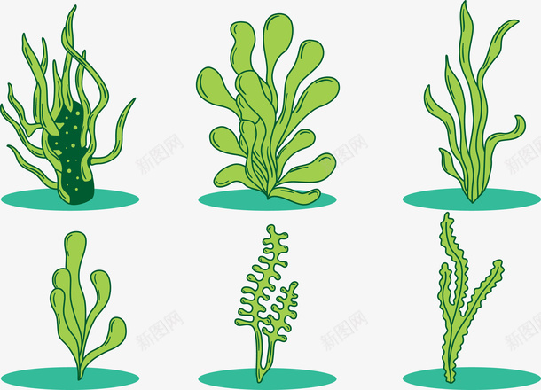 绿色海草植物合集矢量图eps免抠素材_88icon https://88icon.com 位图图形 印刷图 手绘 手绘彩色 植物合集 海草 海葵图片 矢量图 绿色 装饰图