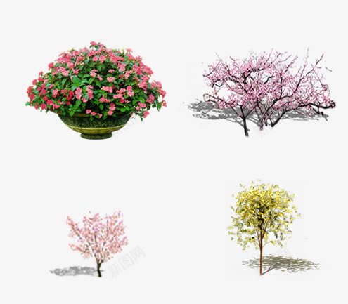 樱花树png免抠素材_88icon https://88icon.com 树木 樱花树 水彩 盆栽 花朵 黄色的树