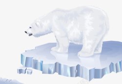 冰块上的北极熊素材