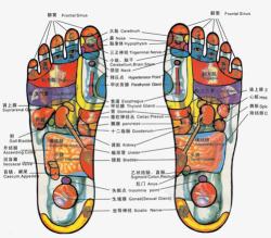 脚步穴位图素材
