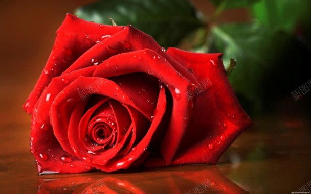 木板上的红色玫瑰花背景
