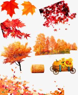 秋天黄色枫叶枫树装饰图案素材