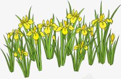 周末愉快手绘黄色迎春花高清图片