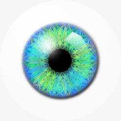 人体眼睛蓝绿色瞳孔眼睛高清图片