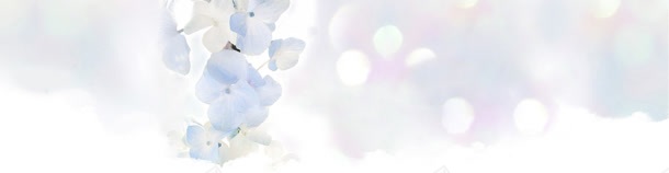 淘宝背景花墙jpg设计背景_88icon https://88icon.com banner 广告图 性感美女 淘宝女装banner 粉色 美女 背景 蕾丝