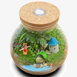创意盆栽图片苔藓微景观生态瓶高清图片