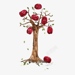 红枣树手绘树叶彩色红枣大枣高清图片