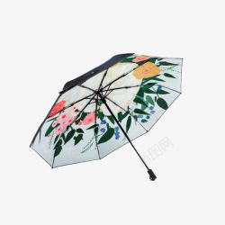 晴雨伞晴雨伞太阳伞小黑伞高清图片
