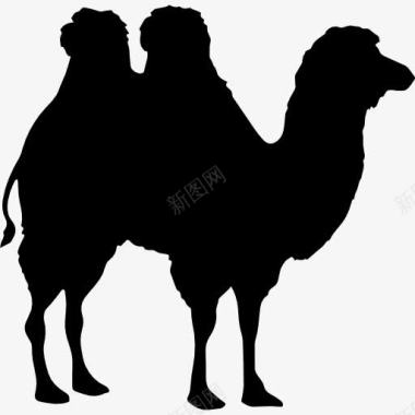 骆驼骆驼形状图标图标