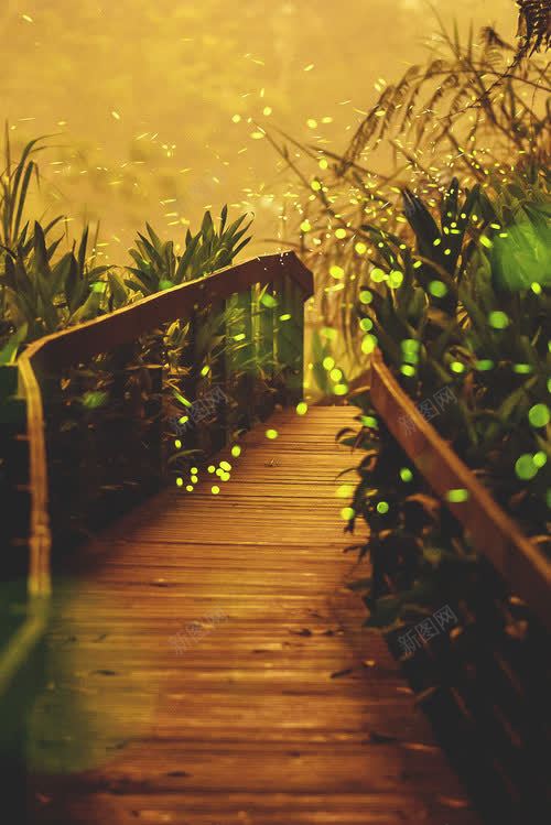 萤火虫林间小路海报背景png免抠素材_88icon https://88icon.com 小路 林间 海报 背景 萤光 萤火虫