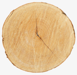 树木裂纹卡其色带划痕和裂纹的木头截面实高清图片