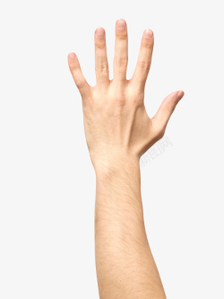 体毛伸出五指手臂示意图高清图片
