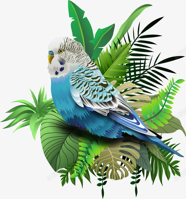 鲜艳彩色手绘风格鹦鹉png免抠素材_88icon https://88icon.com 卡通鹦鹉 小鸟 矢量虎皮鹦鹉 虎皮鹦鹉 鲜艳彩色 鹦鹉