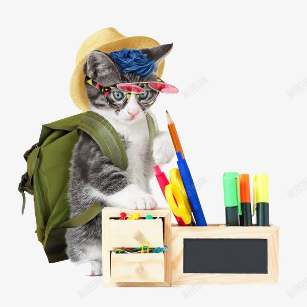 勤奋好学的猫咪png免抠素材_88icon https://88icon.com 书包 学习 猫咪 笔