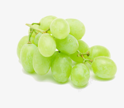 新鲜的葡萄绿色水果素材