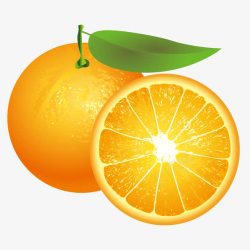 姗桦瓙新鲜水果橙子切面矢量图高清图片