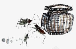蚱蜢蟋蟀高清图片