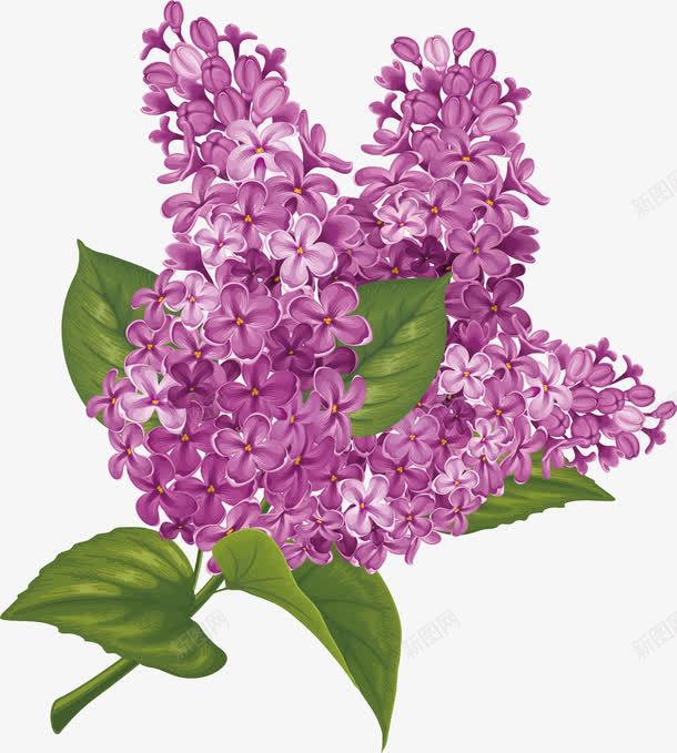 水彩画紫荆花png免抠素材_88icon https://88icon.com 宫粉紫荆 紫荆花 绿叶 绿枝 鲜花