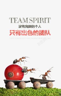 只有出色的团队团队协作高清图片