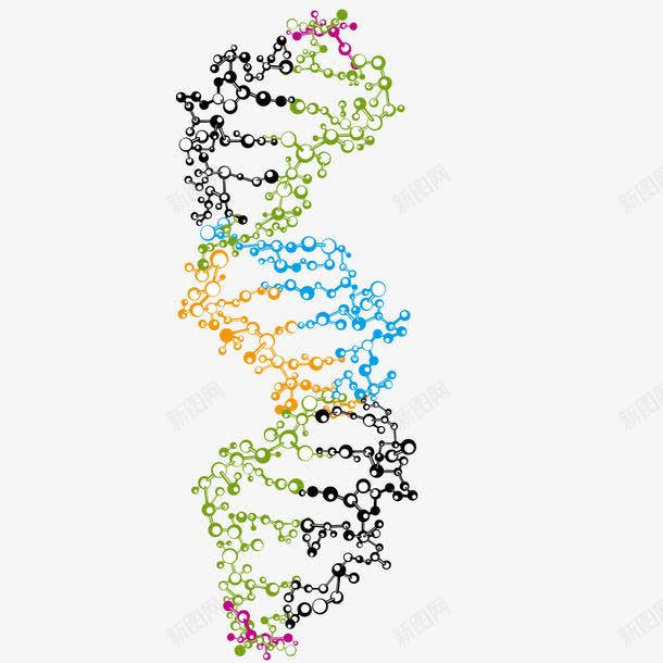 彩色人体DNA结构png免抠素材_88icon https://88icon.com DNA 彩色 螺旋结构